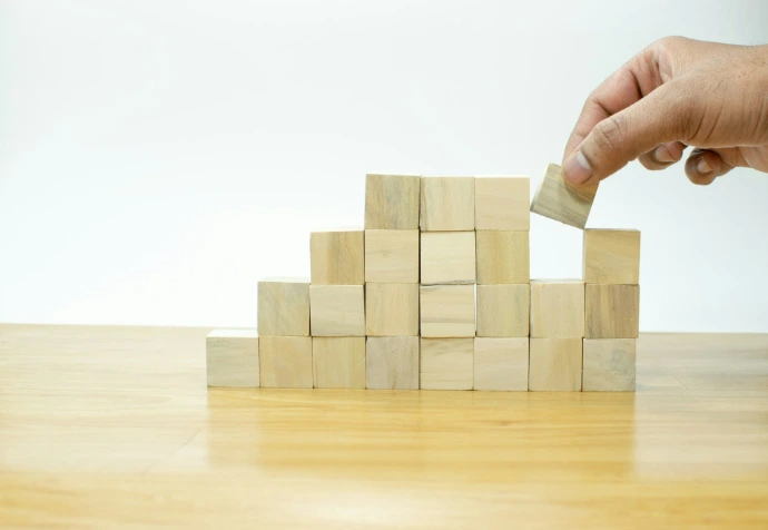 Organisational Develooment